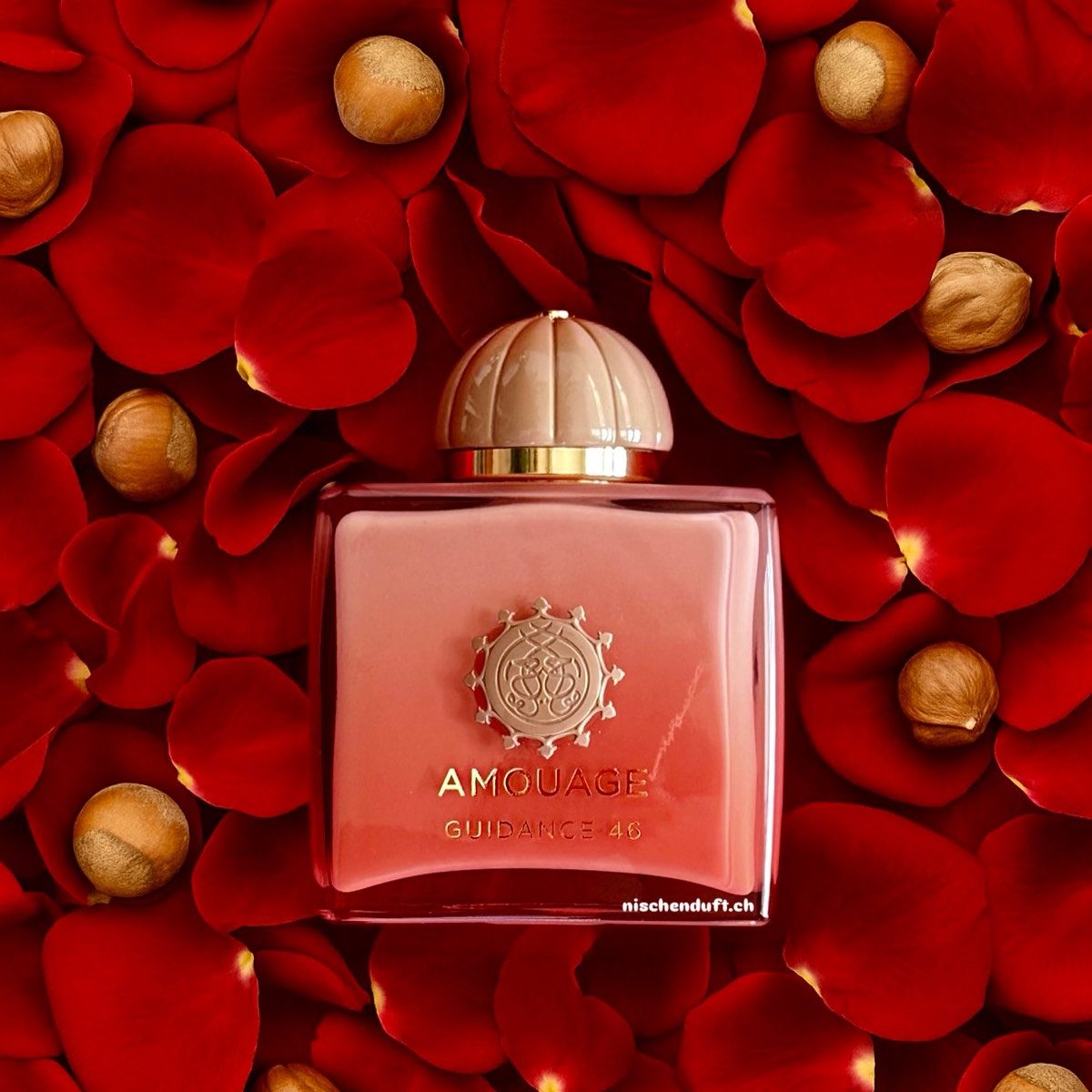 Amouage Guidance 46