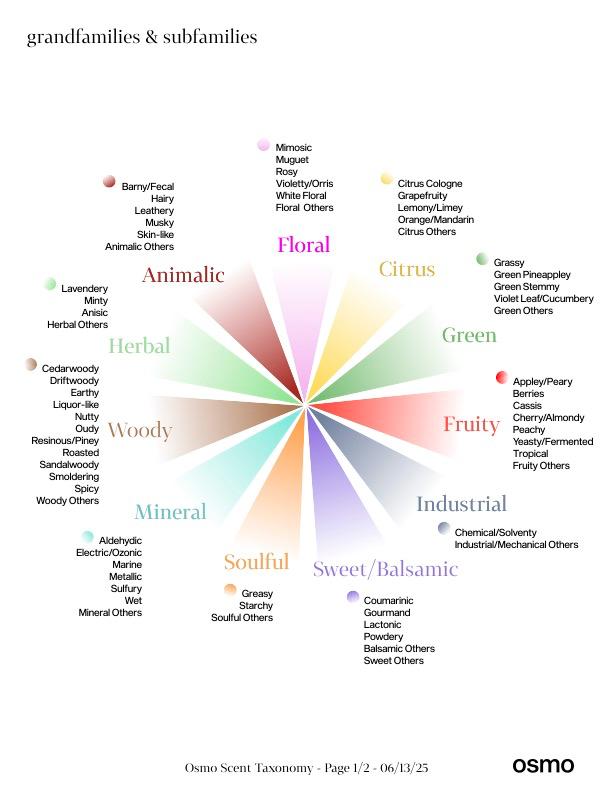Visualisierung der Osmo Duft-Taxonomie: Dieses Farbrad zeigt die zwölf Duft-Großfamilien (Grandfamilies) wie Woody, Floral, Fruity und Mineral mit ihren jeweiligen Untergruppen. Die Grafik verdeutlicht, wie Osmo eine strukturierte, aber flexible Klassifikation für Gerüche geschaffen hat.