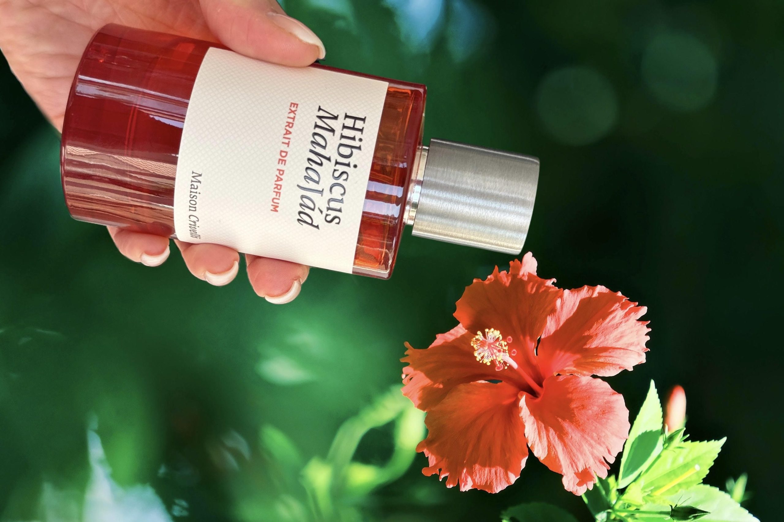 Maison Crivelli Hibiscus Mahajád ist ein intensives, florales Gourmand-Parfum